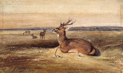 Ruhendes Reh von Antoine Louis Barye
